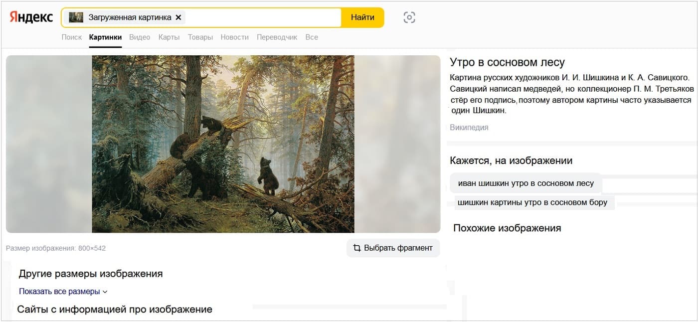 результат поиска по картинке в Яндексе